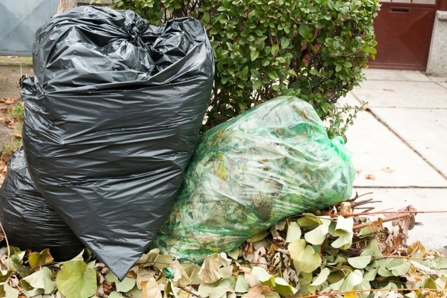 picture of a garbage bag full of dried leaves in a yard