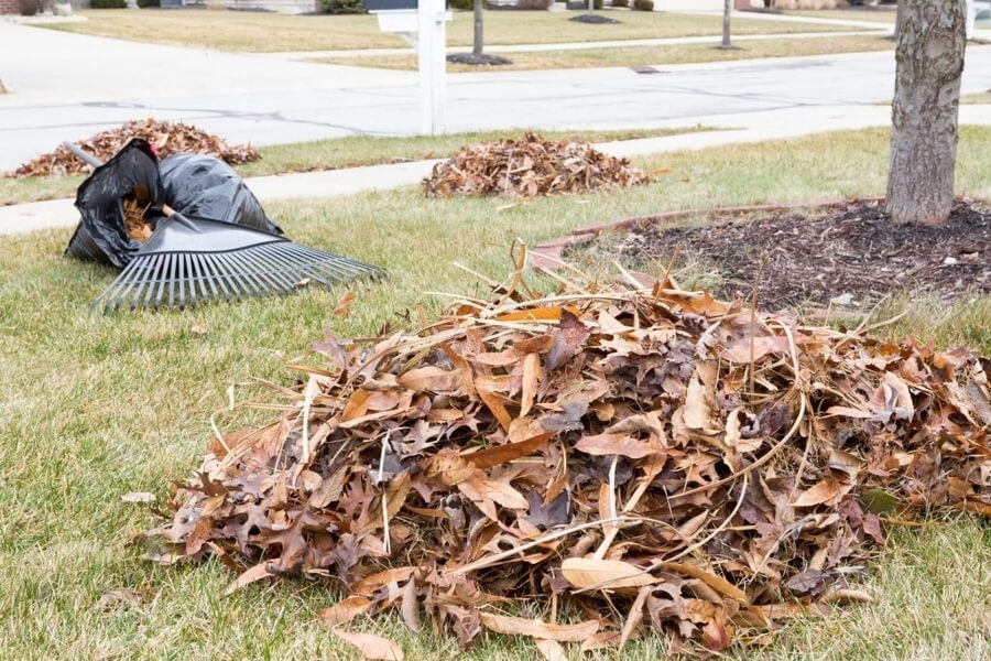 picture of piled dried leaves that needs to be cleaned